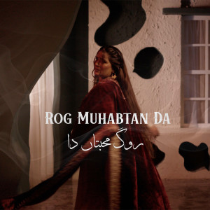 Album Rog Muhabtan Da from Falak Ijaz