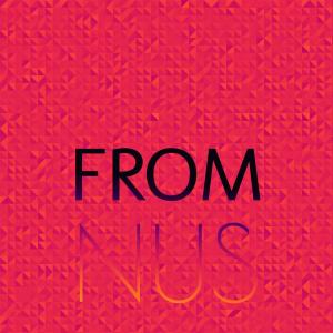 Various的专辑From Nus