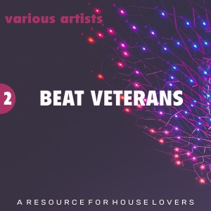 Album Beat Veterans, Vol. 2 from Various Artists