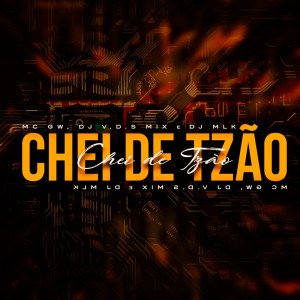 Dengarkan CHEI DE TZÃO (Explicit) lagu dari DjMlkOficial dengan lirik