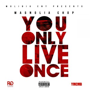 Y.O.L.O. (You Only Live Once) (Explicit)
