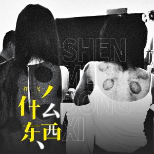 Dengarkan 什么东西 lagu dari 许飞 dengan lirik