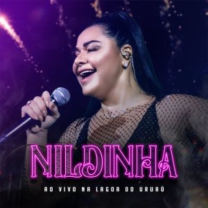 Listen to Dia de Pagamento (Ao Vivo) song with lyrics from Nildinha