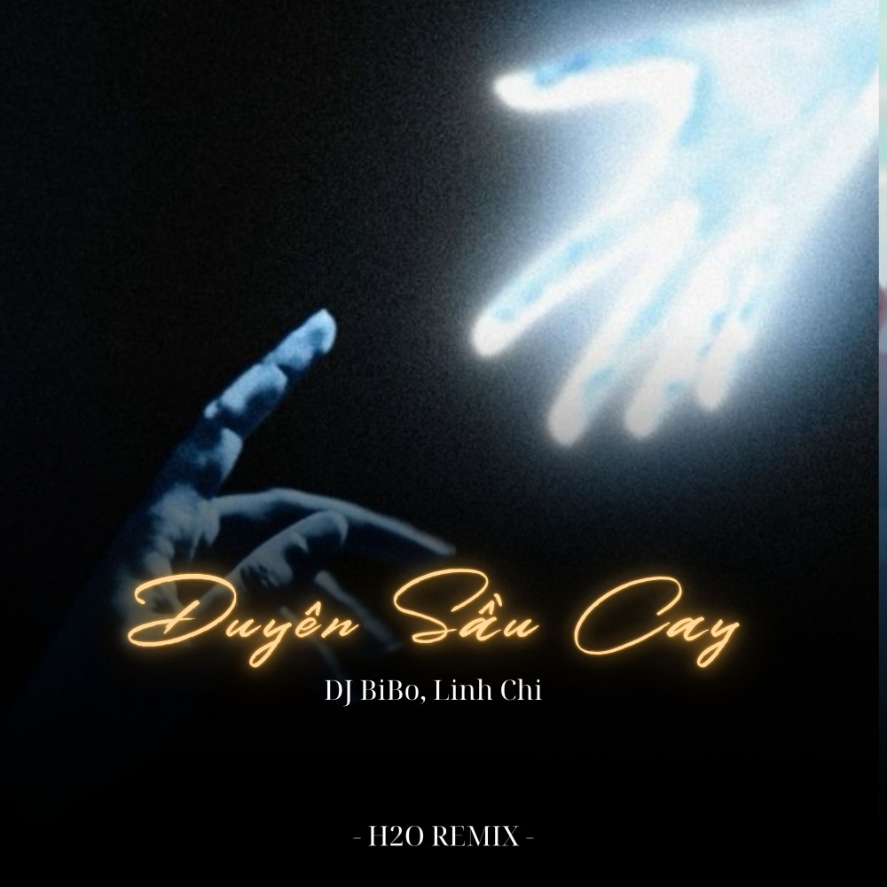 Duyên Sầu Cay (DJ Bibo Remix)