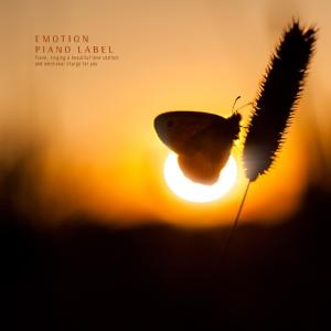 Album Night Meditation Piano Collection (Nature Ver.) oleh Various Artists