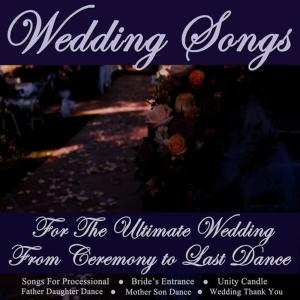 ดาวน์โหลดและฟังเพลง The One (Vocal - First Dance, Ceremony Song) พร้อมเนื้อเพลงจาก Wedding Music Central