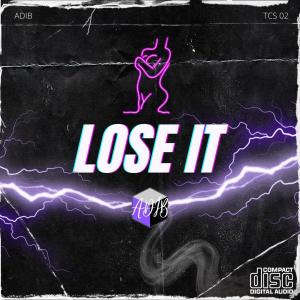 Listen to Lose It (Explicit) song with lyrics from Adib