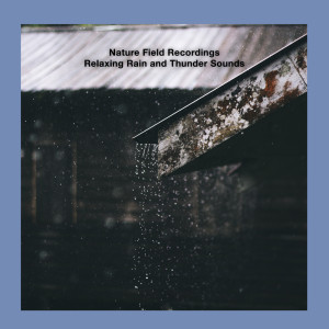 ดาวน์โหลดและฟังเพลง Morning Light Rain พร้อมเนื้อเพลงจาก Nature Field Recordings