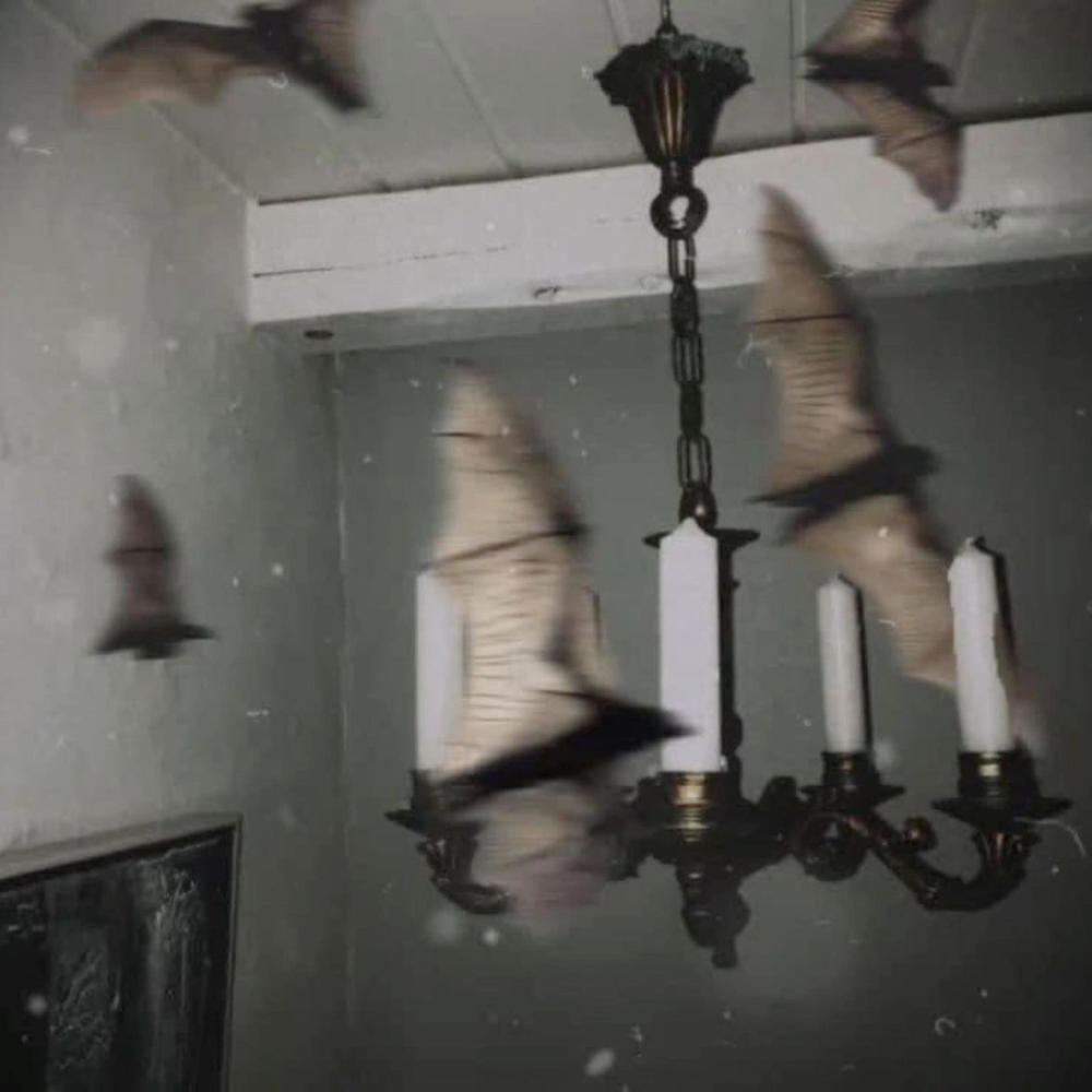 notrust (Explicit)