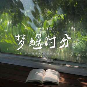 Album 梦醒时分 (早知道伤心总是难免的) oleh 王一佳