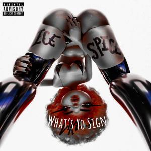 อัลบัม What's Yo Sign (Explicit) ศิลปิน followJOJOE