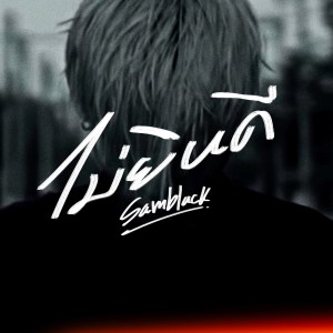 Album ไม่ยินดี (Live) from SAMBLACK