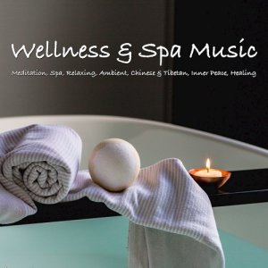 ดาวน์โหลดและฟังเพลง Wellness Spa Music Relaxing with Deep Water Healing for Qigong Meditation (Theta Waves) พร้อมเนื้อเพลงจาก Binaural Beats Central