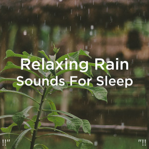 收聽Rain Sounds的雨聲放鬆歌詞歌曲