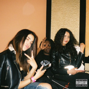 Listen to Have Shit (Explicit) song with lyrics from Frais