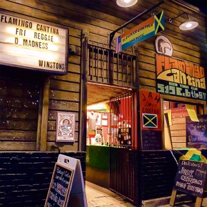 D-Madness的专辑Flamingo Cantina
