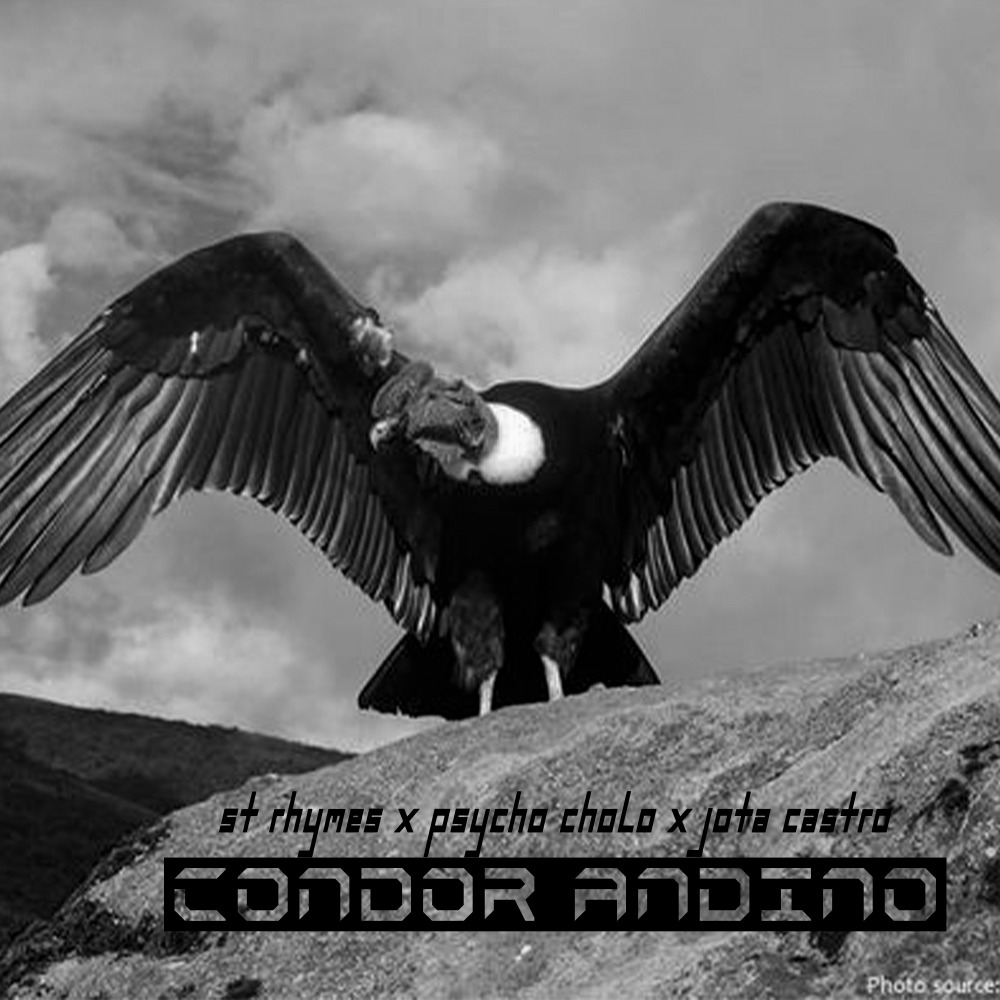 Condor Andino