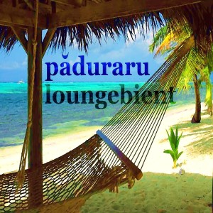 ดาวน์โหลดและฟังเพลง Loungebient (Deephouse Mix) พร้อมเนื้อเพลงจาก Paduraru