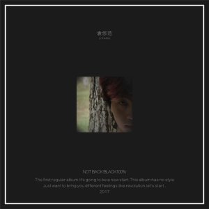 ดาวน์โหลดและฟังเพลง Beautiful Lies พร้อมเนื้อเพลงจาก 袁悠范