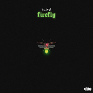 收聽NGeeYL的Firefly (Explicit)歌詞歌曲