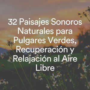 Album 32 Paisajes Sonoros Naturales para Pulgares Verdes, Recuperación y Relajación al Aire Libre from Musicoterapia