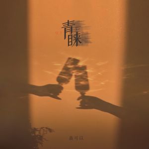 Listen to 青睐 song with lyrics from 聂可以