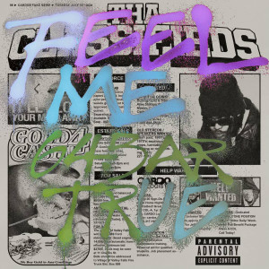 Listen to Feel Me (Explicit) song with lyrics from True