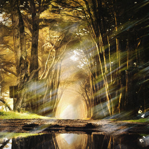 ดาวน์โหลดและฟังเพลง Gaia พร้อมเนื้อเพลงจาก Swoozy