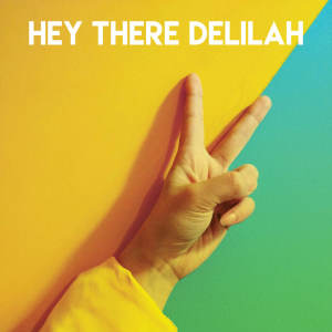 Album Hey There Delilah from Stereo Avenue