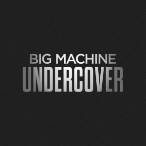 Various Artists的專輯Big Machine Undercover