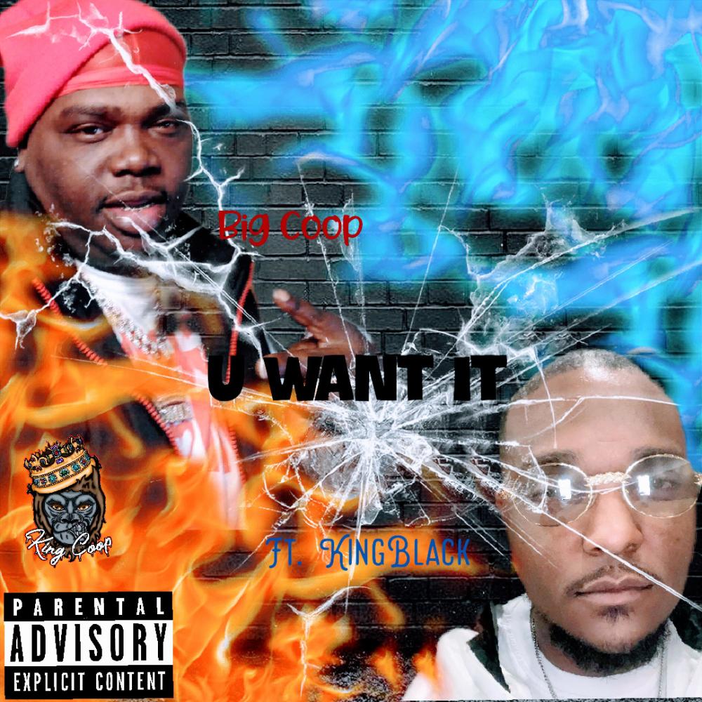 Big coop (U Want It) (feat. King Black) (Explicit)