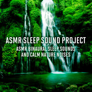 ดาวน์โหลดและฟังเพลง ASMR Sleep Binaural Synthesizer and Birds Sounds 2 พร้อมเนื้อเพลงจาก ASMR Sleep Sound Project