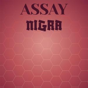 Assay Nigra dari Various