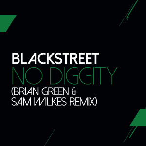 ดาวน์โหลดและฟังเพลง No Diggity (Sam Wilkes & Brian Green Remix) พร้อมเนื้อเพลงจาก Blackstreet