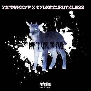 CYunginRuthless的專輯I Don’t like To Flex (Explicit)