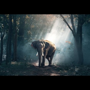 Dengarkan lagu Mind Cleansing nyanyian Yoga Music dengan lirik