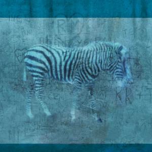 Listen to Dremeled nails song with lyrics from Vaervaf 