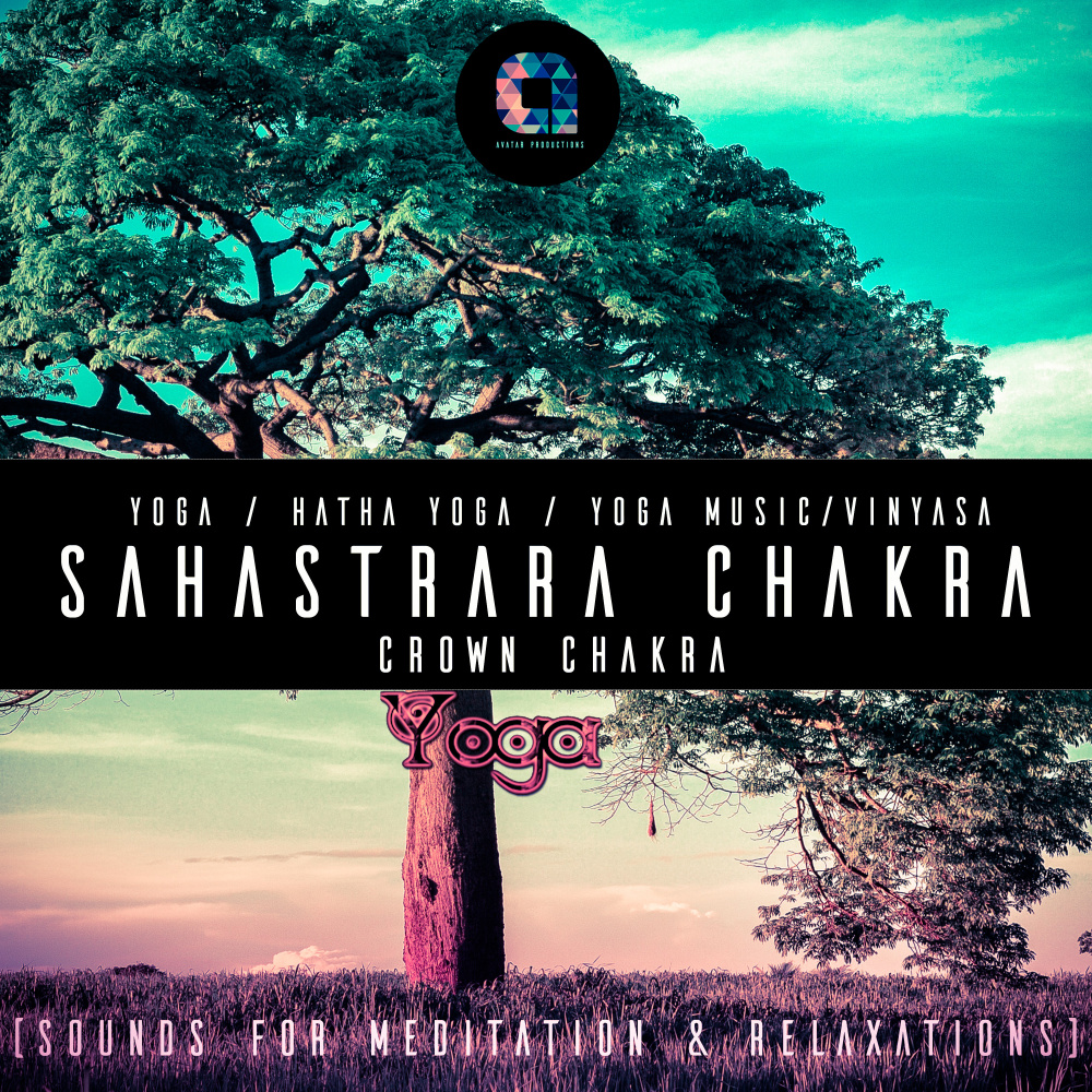 Yoga Vibe (Music for Yoga Class and Meditation Sleep)