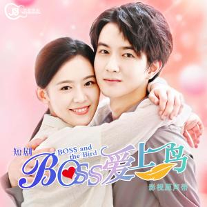 Album Duan Ju "Boss Ai Shang Diao" Ying Shi Yuan Sheng Dai from 魏奇奇