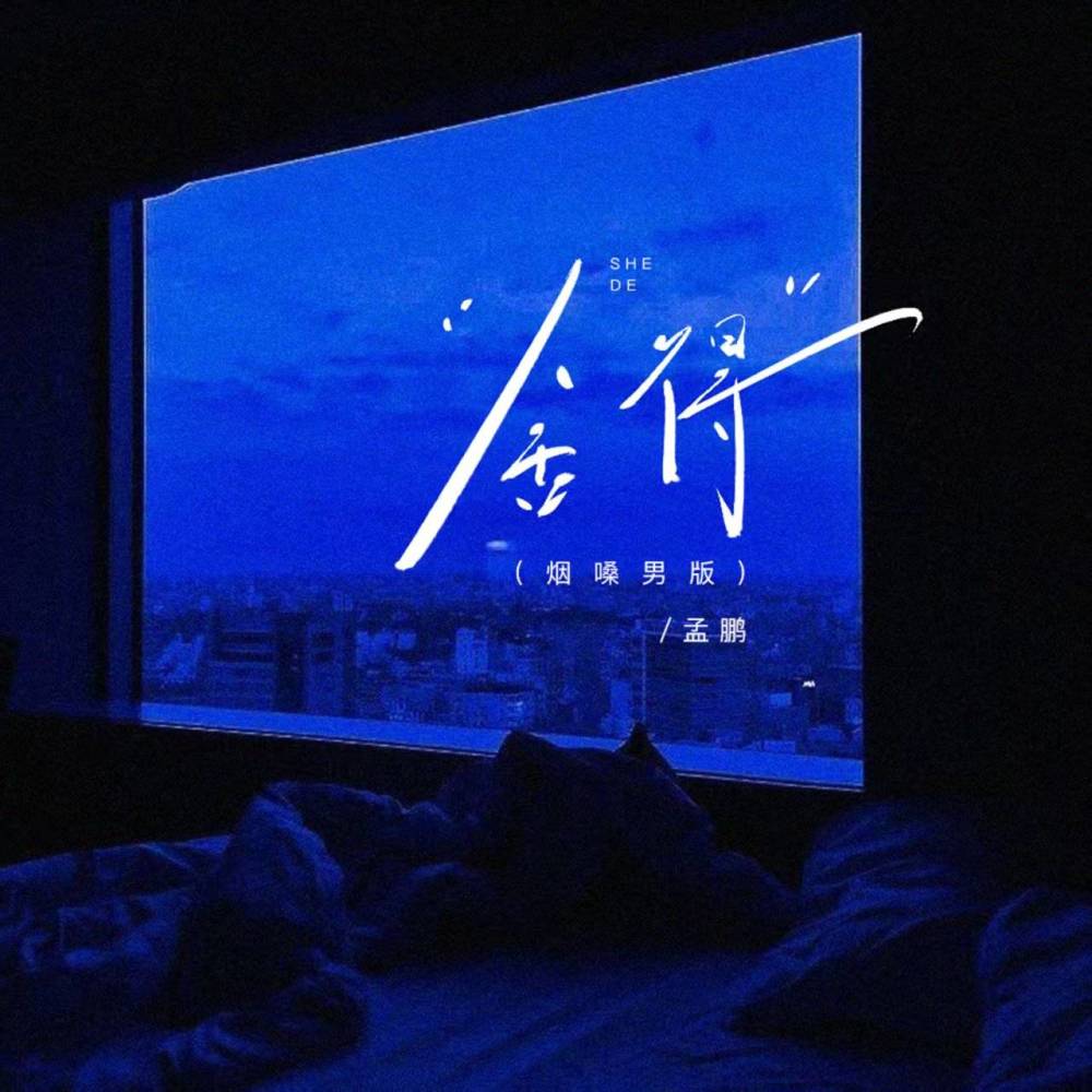 舍得 (烟嗓男版伴奏)