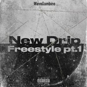 WavoGambino的專輯New Drip freestyle Pt. 1 (Explicit)