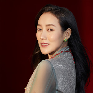 Album 美丽的康巴我的家 from 泽旺拉姆