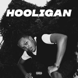 ดาวน์โหลดและฟังเพลง HOOLIGAN (Explicit) พร้อมเนื้อเพลงจาก Xanderr