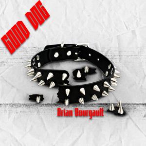 收聽Brian Bourgault的Good Dog歌詞歌曲