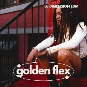 ดาวน์โหลดและฟังเพลง Urban Stillness พร้อมเนื้อเพลงจาก Dj Dimension EDM