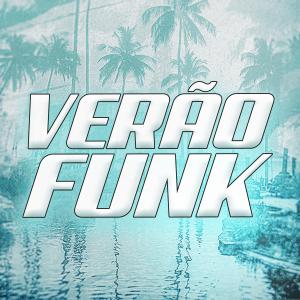 Vários Artistas的專輯Verão Funk (Explicit)