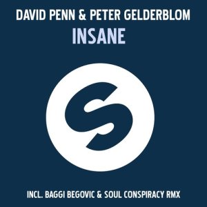 收聽David Penn的Insane (Baggi Begovic & Soul Conspiracy Remix)歌詞歌曲