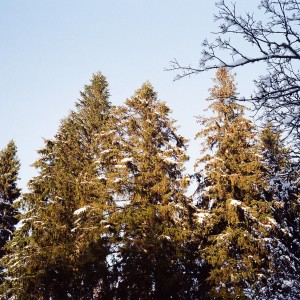 Album Haze from notliam.