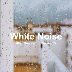 Album White Noise 2 - Rain Sounds for Sleeping 2 (Rain, Baby Sleep, White Noise, Deep Sleep, Nature Sounds) from White Noise