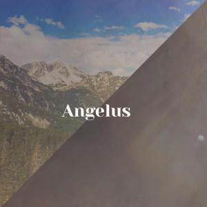 收听Benera的Decider歌词歌曲